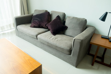 Pillows on modern sofa in modern living room