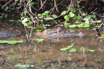 Costa Rica