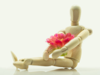 The wooden puppet sitting and hugging pink flowers.On a white backdrop (isolated) and a shadow of the puppet reflected in the white floor.