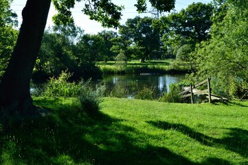 Country pond surrounded by trees and green grass.