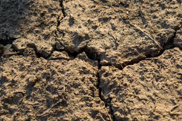 A close-up of fertile black earth soil, shot during the summer drought. Copy space. Concept agronomy.