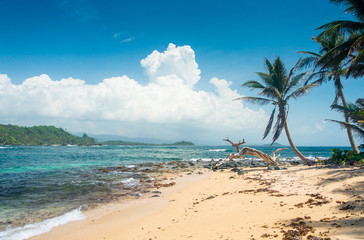 Fototapeta na wymiar Paradisische Inseln in Guna Yala, San Blas Inseln, Panama