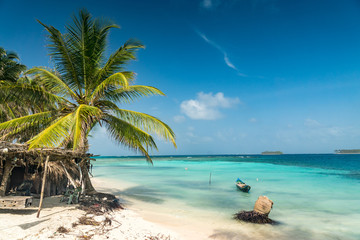 Obraz na płótnie Canvas Paradisische Insel und Strand in Guna Yala, San Blas Inseln, Panama