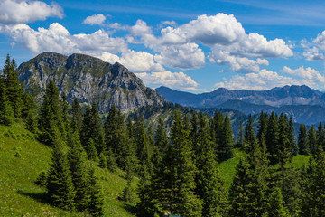 Scenes of Alpine vistas and meadows 