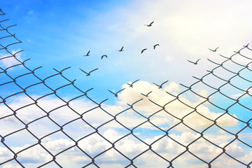 Chainlink fence with Hole against a Cloudy Blue Sky and Birds, Fight for Better Life concept,Think out of the box concept