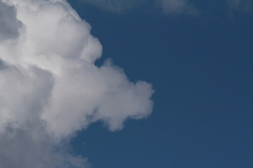 Un dragon due nuage