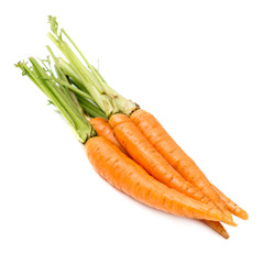 fresh carrots with stems isolated