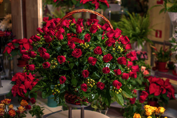 Fototapeta na wymiar Bouquet of 100 red roses on the basket