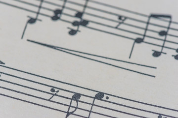 Fototapeta premium music notes close up