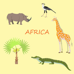 A set of African flora and fauna, vector illustration.