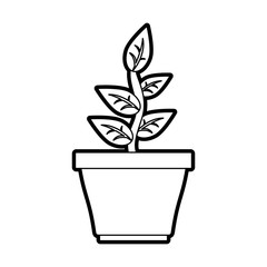 plant in pot icon image