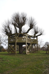 Tanzlinde in Galenbeck