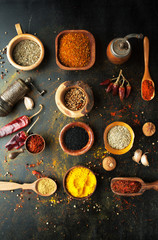 Spices, herbs and  condiments on a table in a spoon