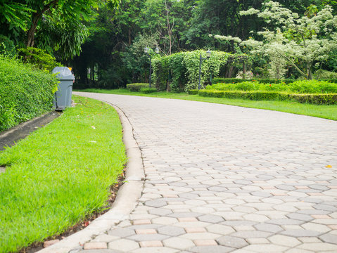 Pathway in the park