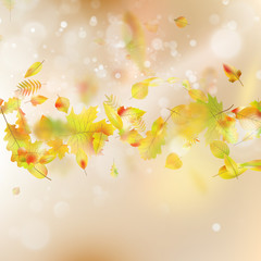 Autumn Leaves theme background. EPS 10 vector