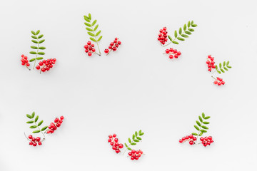 Berry ornament. Red currant and leaves on white background top view copyspace