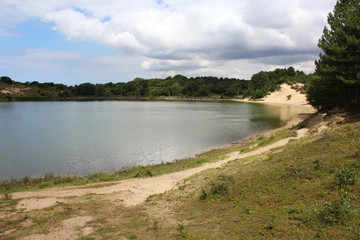 National park Kennemerland dunes