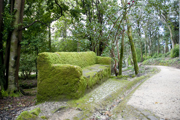 Banco cubierto de musgo