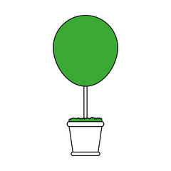 bush plant in pot icon image
