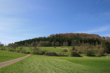 Fototapeta premium Landscape