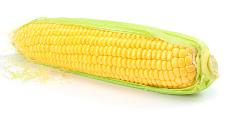 Fresh corn on cob isolated on white background