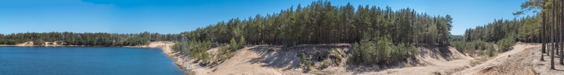 Pine forest on shore of lake