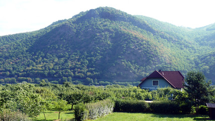 wundersch&ouml;ne Landschaft der Wachau zwischen Krems und Melk an der Donau mit ihren Weinh&auml;ngen in &Ouml;sterreich
