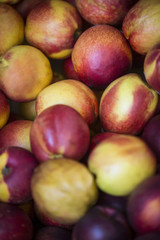 Apples