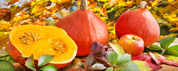 Herbst -  Kürbisse