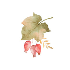 Watercolor autumn bouquet of leaves, branches and dogrose berries isolated on white background.