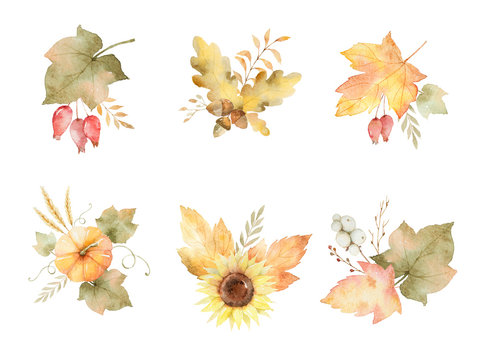 Watercolor autumn set of leaves, branches, flowers and pumpkins isolated on white background.