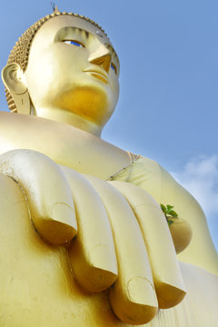 Finger of Buddha statue