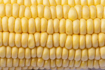 Texture detail of yellow elote grains