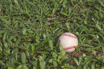 A white used baseball on the fresh green grass with copy space