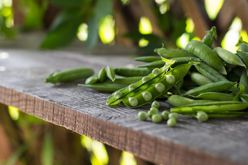 pods of young green juicy peas in the gazebo on a wooden bench in summer