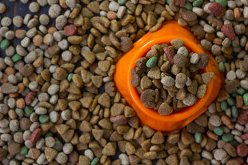 Orange plastic bowl filled with dry pet food surrounded by dry food for cat and dogs.