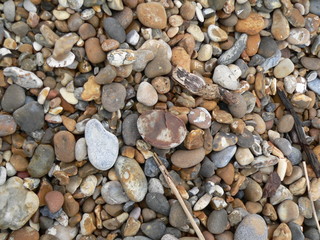 Coastel Stones