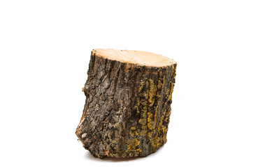 Wood log isolated