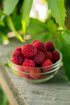 soft focus on freshly harvested raspberries in a glass bowl
