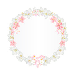 Floral round  frame with  Jasmine and sakura  vintage  festive  background vector illustration editable hand draw