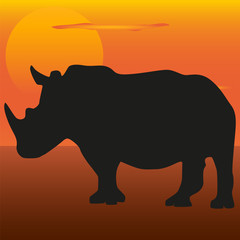 Rhino image on the background of the sunset. Rhinoceros silhouette.