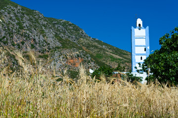 grain field with minaret © Nikolai Link