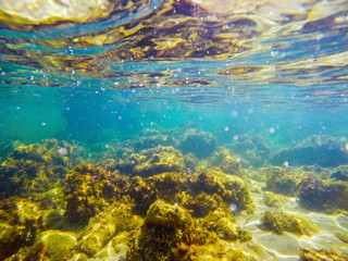 Fototapeta na wymiar Rocky sea floor in Alghero