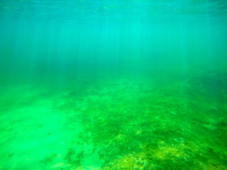 Fototapeta na wymiar Sun rays seen from underwater