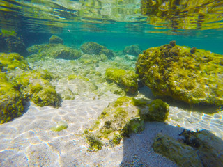 Colorful sea floor in Alghero