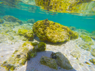 Rocks and sand in Alghero seabed