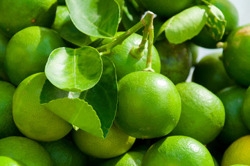 fresh green lime at market thailand