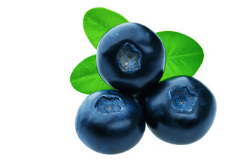 Three fresh blueberries isolated