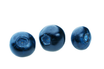 fresh blueberries isolated