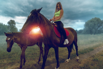 beautiful chic girl on horseback looking